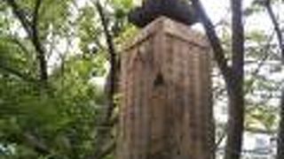 ものすごい功徳を