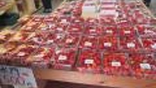 7月、産地価格でさくらんぼ販売