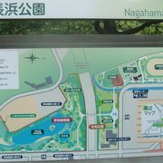 汽水の野鳥観察池とスポーツ施設等で構成される横浜市金沢区の公園