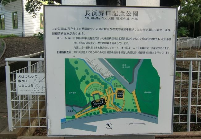 旧横浜検疫所跡の野口(英世)記念公園の展示施設