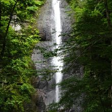 カメラをズームすると、何とか見えます。