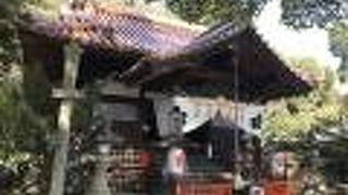 お久しぶりの参拝