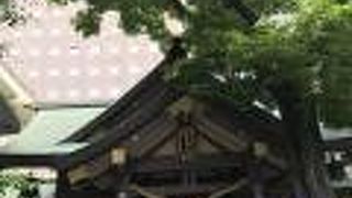 都会の中の癒しスポット