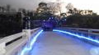 夕暮れの青いイルミネーションがきれいでした