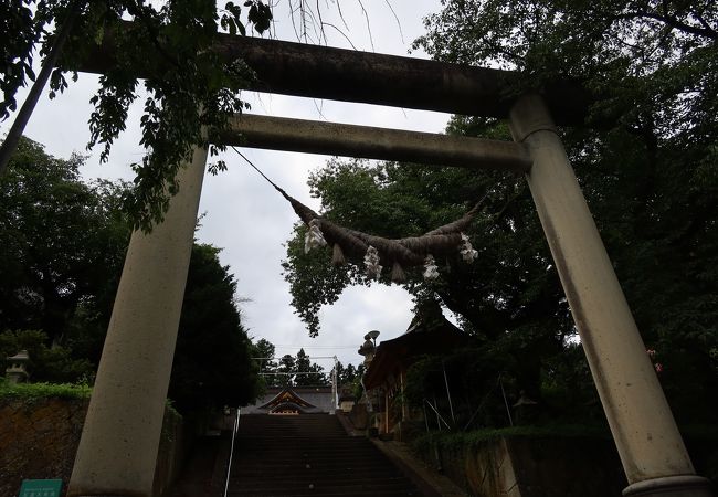 烏帽子山八幡宮 クチコミ アクセス 営業時間 赤湯温泉 フォートラベル