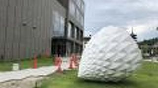 鹿が草を食べていました。