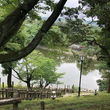 奈良ホテルから見た荒池