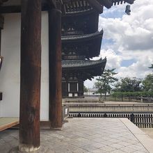 東金堂より五重塔を望む。