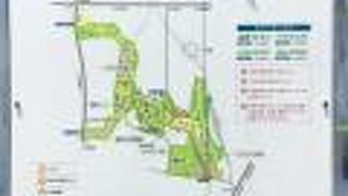 山手線内最高峰は人工の築山、標高44.6m