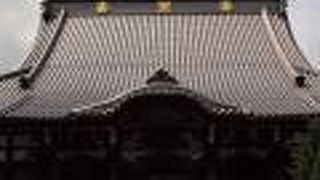 葵の御紋が眩しいお寺です。