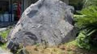 八丈ビジターセンター♪