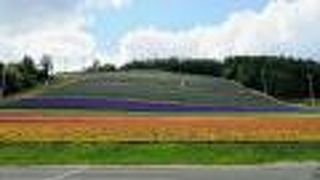 今年はリフトが止まっていました