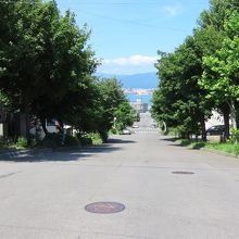 長さならイチバン！弥生坂