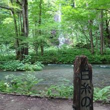 遠くに見えるのが白糸の滝