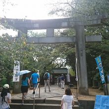上野東照宮鳥居