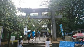 重要文化財に指定されている社殿や石造鳥居