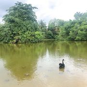 大人が楽しめる植物園