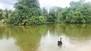 大人が楽しめる植物園