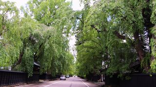 武家屋敷通りを観光するならば、駐車場は川沿いの桜並木駐車場が便利