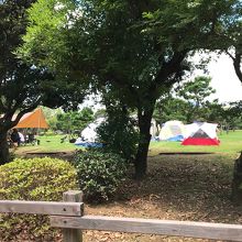 キャンプ場ではテントがたくさん張られていました。