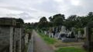 緑濃い季節です