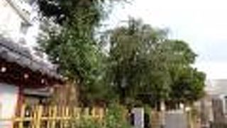 朱色の山門が印象的でした