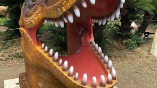 中での有料が多すぎる