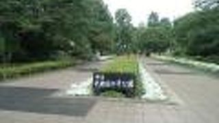 南北に分かれた広い公園は解放感いっぱい