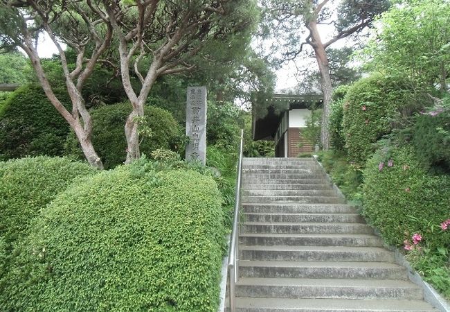 参道は趣があるが、境内は意外と殺風景