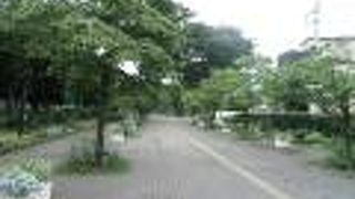 随所にあるワイルドフラワーの花壇が綺麗