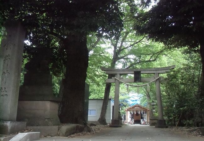 国分寺 小金井の寺 神社 クチコミ人気ランキングtop13 フォートラベル 東京