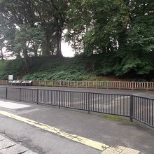 全体の様子です。