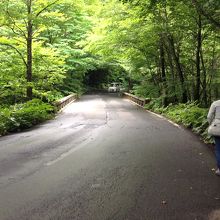 路側帯がほとんどなく、歩行者は車の水ハネを避けられません