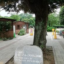 緑が多い公園