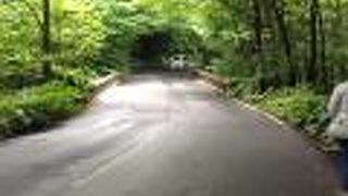 運転する方は慎重に。わき見せず、雨の日は速度を落として。