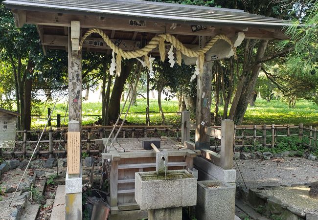 磯清水 クチコミ アクセス 営業時間 天橋立 宮津 フォートラベル