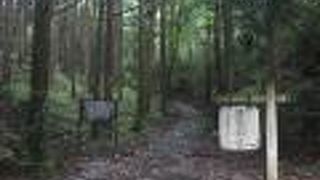 上りより下りの方が楽です。