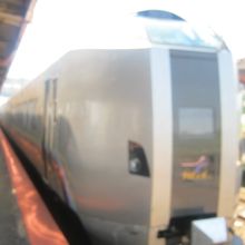 2020年8月時点でのカムイの様子