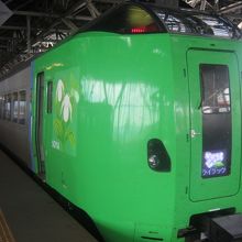 2020年8月時点でのライラックの様子