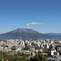 錦江湾越しに雄大な桜島に姿を堪能できます。