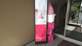 日帰りツアーの途中で