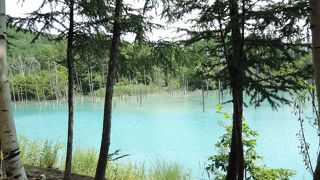 一応一方通行らしいです