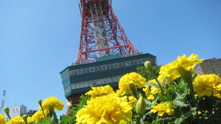 2020年は8月いっぱい無料開放