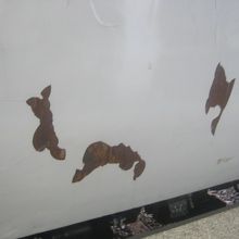 百戦錬磨の自然模様（？）が痛々しい…。