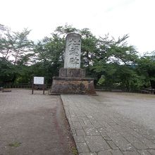 全体の様子です。