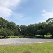 緑豊かな公園