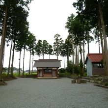 今回は天気が悪く富士山は見えませんでした。