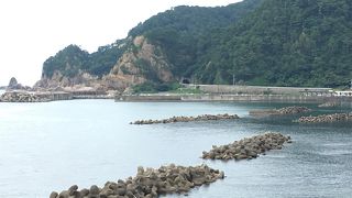 海岸線が見どころ