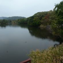 白鳥台セバット前の小沼