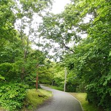 遊歩道完備